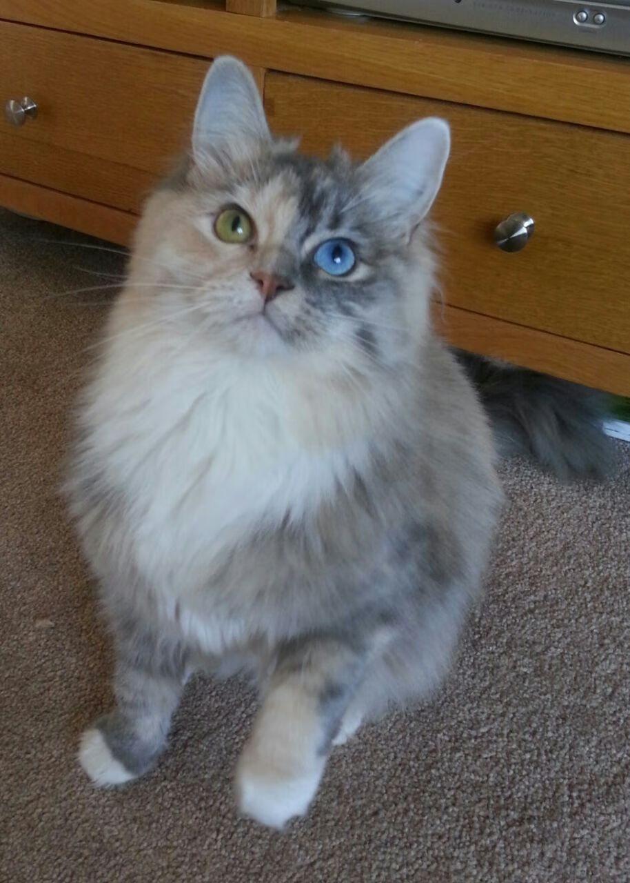 体育新闻中心联合高校推进体育元宇宙应用课程建设