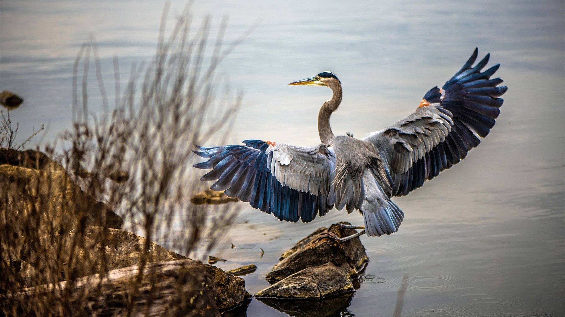印度乒乓赛制未来展望:提升技术、优化赛程,印度乒乓球员