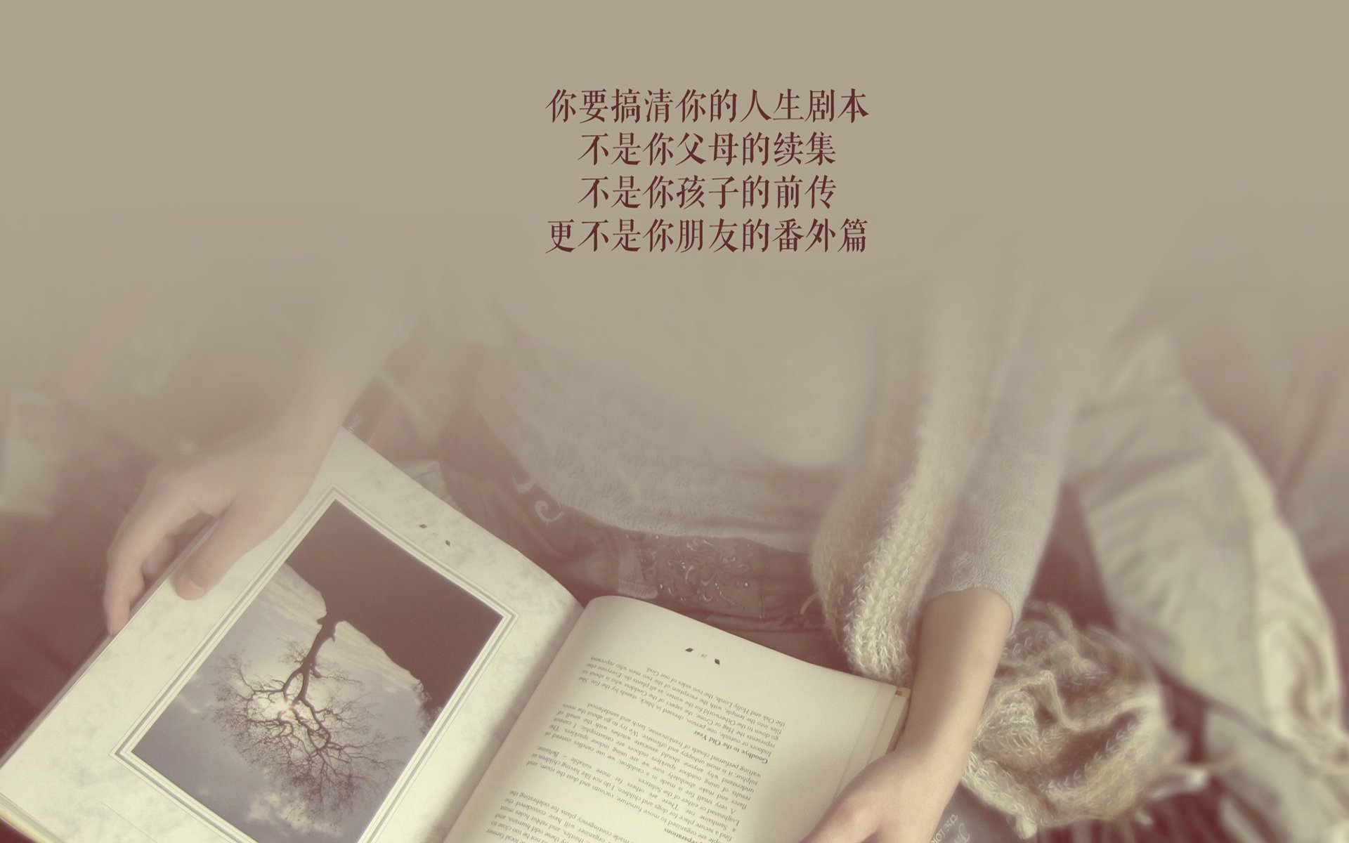 体育场馆设施智能升级,体育场馆智能化系统