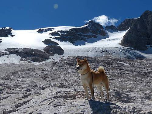 CBA联盟推动基层篮球教练职业化,篮球基层教练应该具备哪些能力