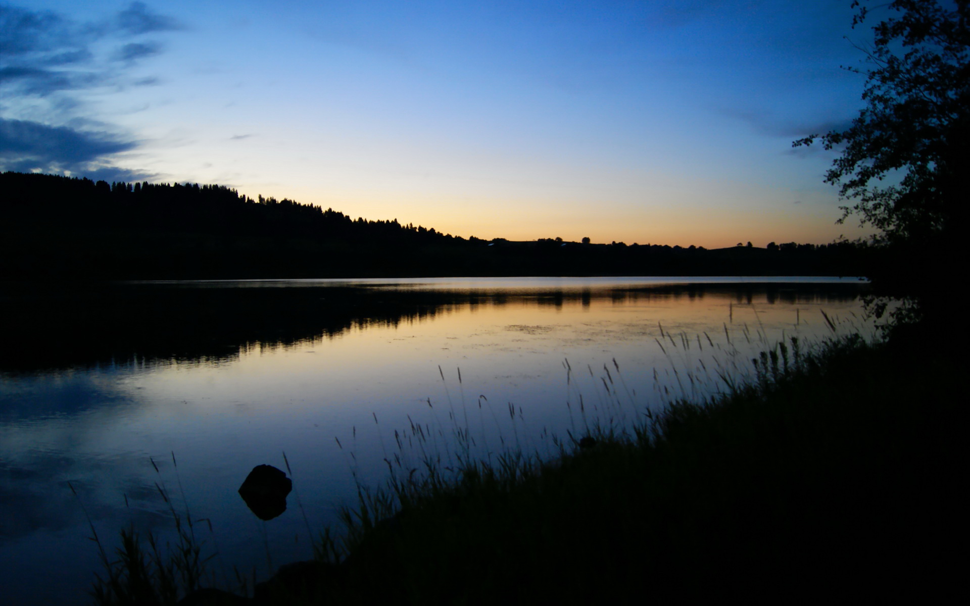 美国选手划水周期加快,冲刺更激进,划水冠军表情包